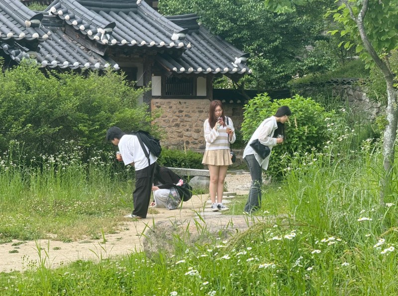 캡처5.JPG